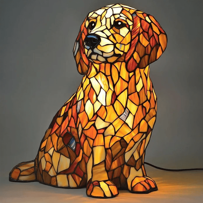 Dýralampi – Golden retriever
